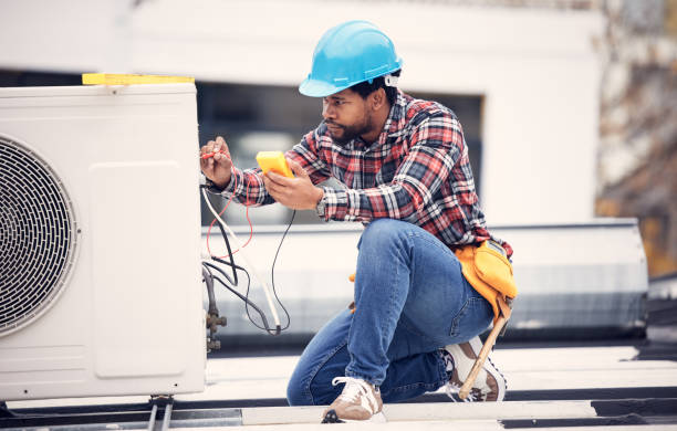 Best Affordable Electrician  in Pingree Grove, IL