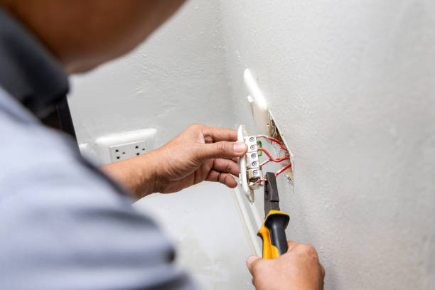 Best Electrical Upgrades for Homes  in Pingree Grove, IL