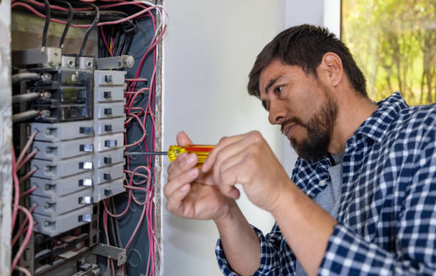 Best Local Electrician Companies  in Pingree Grove, IL